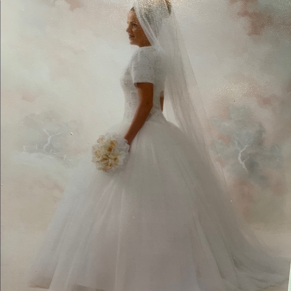 Vintage Lazaro wedding gown size 10 - Picture 4 of 8